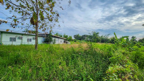 Land – Residential – For Sale – San Kamphaeng, Chiang Mai