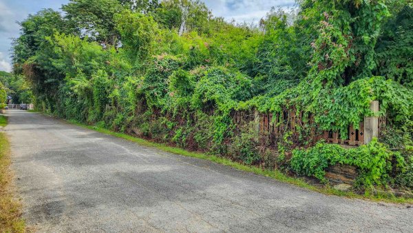Land – Residential – For Sale – San Sai, Chiang Mai
