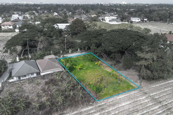 Build-Ready Land with Rice-Field Views