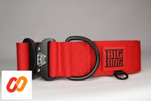 Dog Collar Large