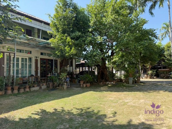 Charming property in a peaceful area in Chiang Mai city with 3 houses. Lots of potential as a family estate or for property development. Large land.