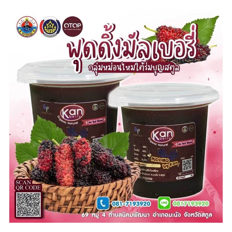 Mulberry Pudding