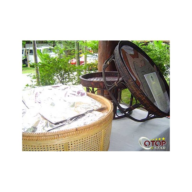 Adapted Northern Style Tray Table