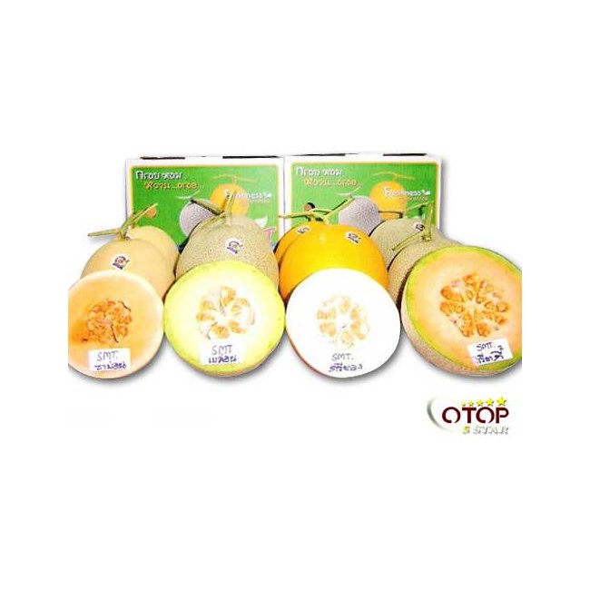 Cantaloup