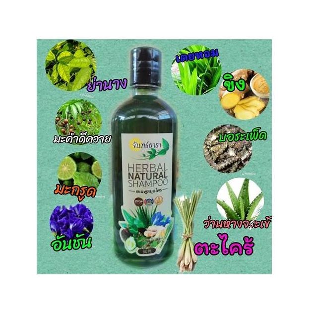 Herbal Shampoo
