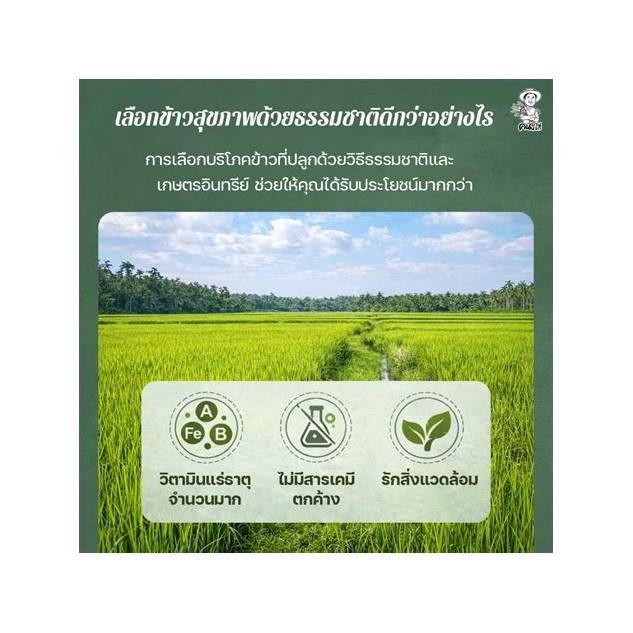 Natural Red Hom Mali Rice