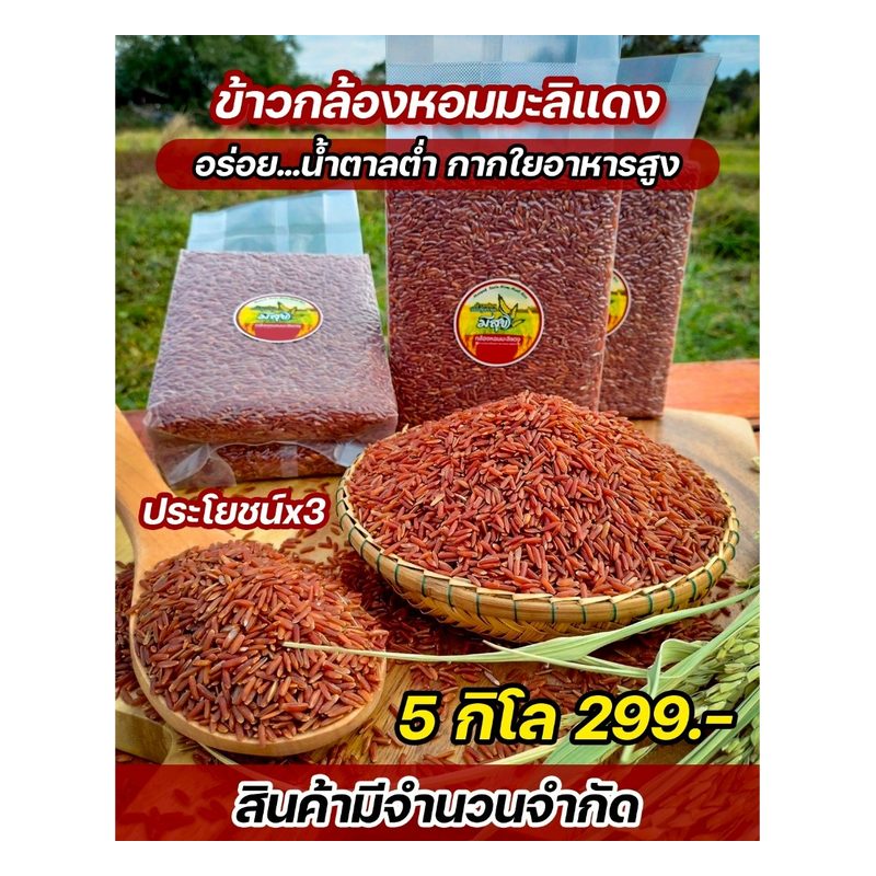 Red Hom Mali Brown Rice