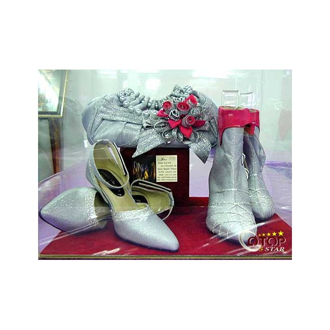 Silk Cloth Processed Product (Silk Shoes and Silk Handbag)