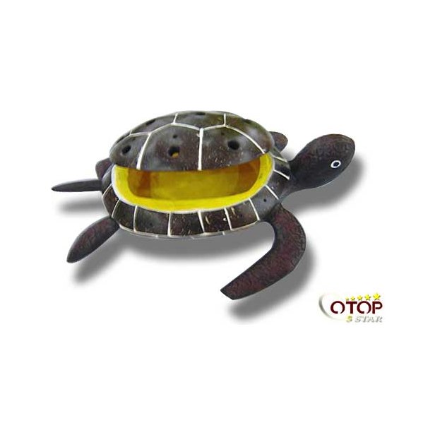 Turtle Model Made of Coconut Shell