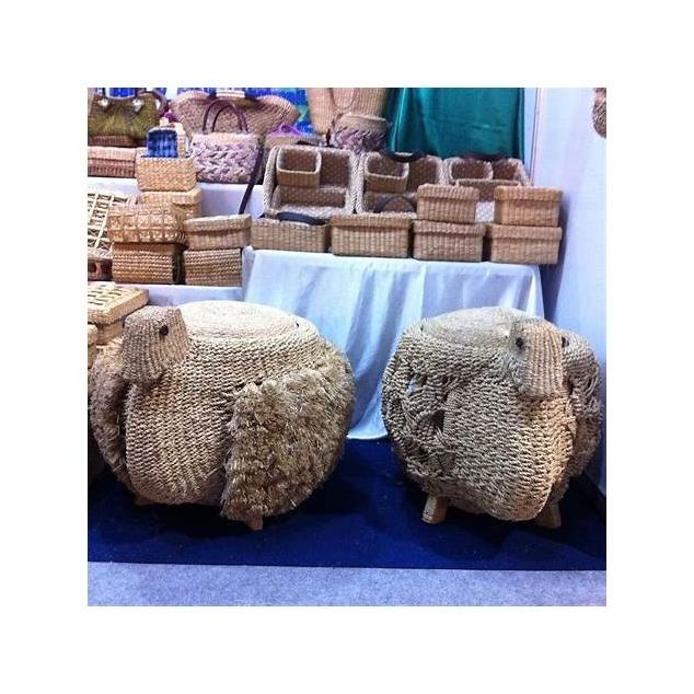 Water Hyacinth Bag