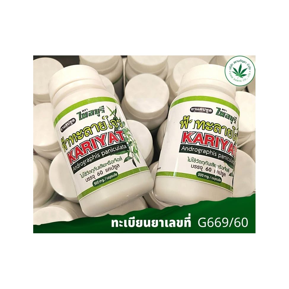 Andrographis Herbal Capsules