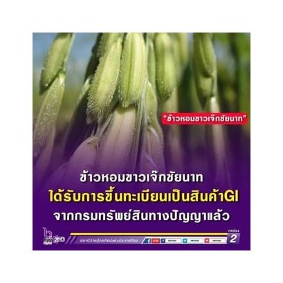 Chai Nat Jek Rice (GI) Brown Rice