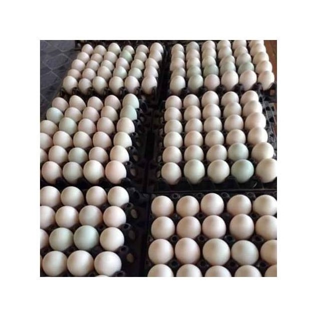 Clay-Coated Salted Eggs