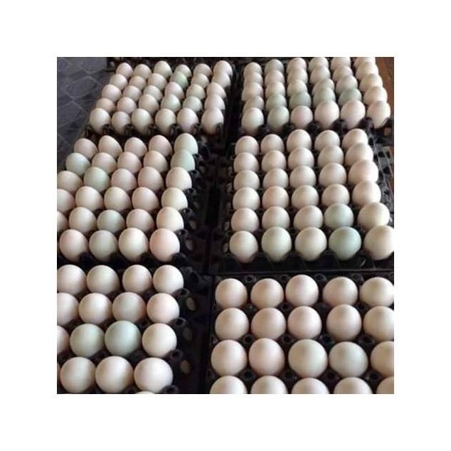 Clay-Coated Salted Eggs