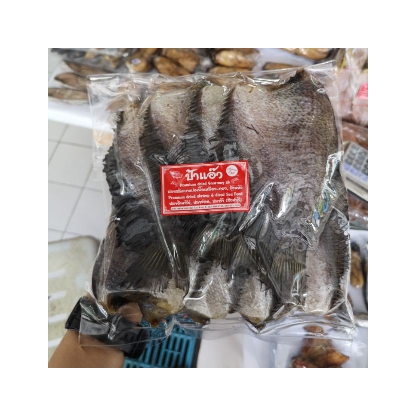 Fragrant Bang Bo Gourami Fish