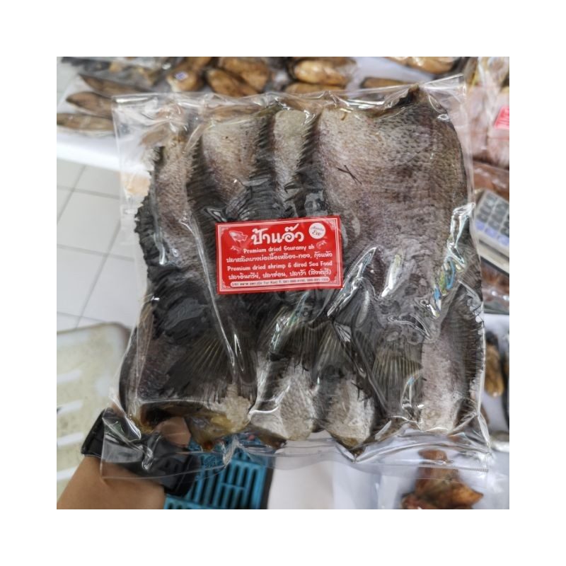 Fragrant Bang Bo Gourami Fish