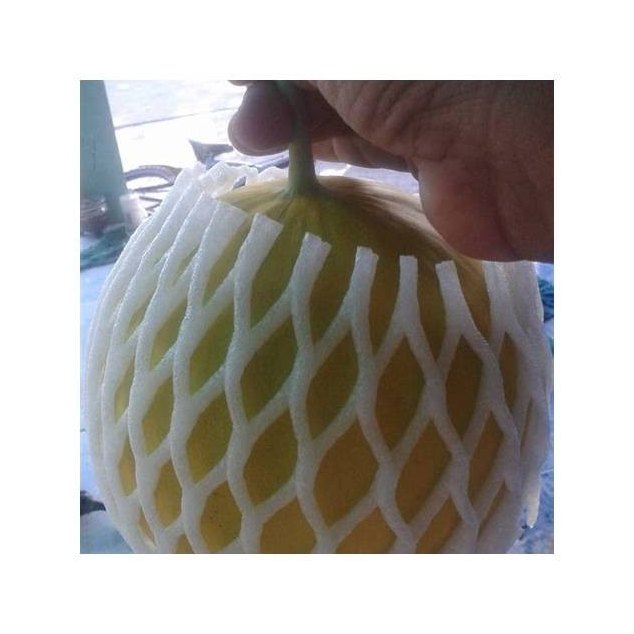Fresh Melon