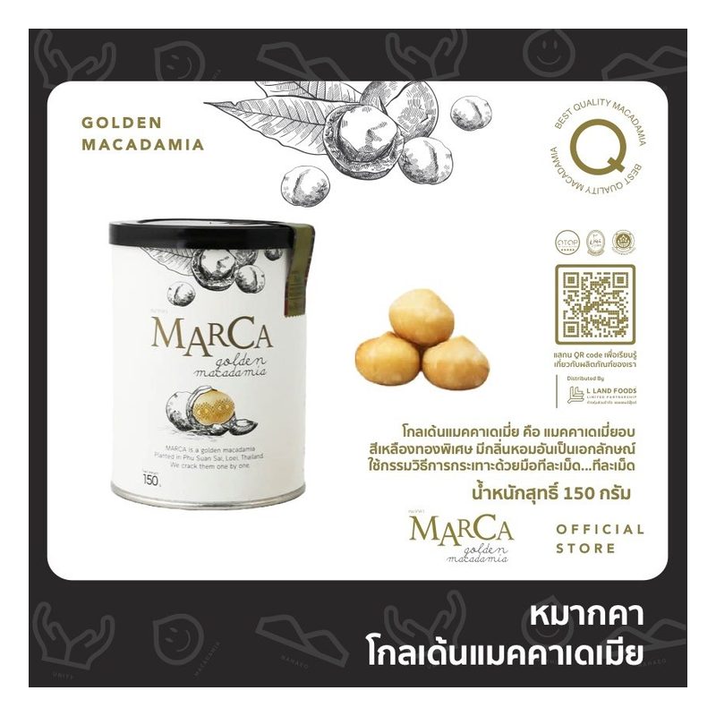 Golden Roasted Macadamia Nuts