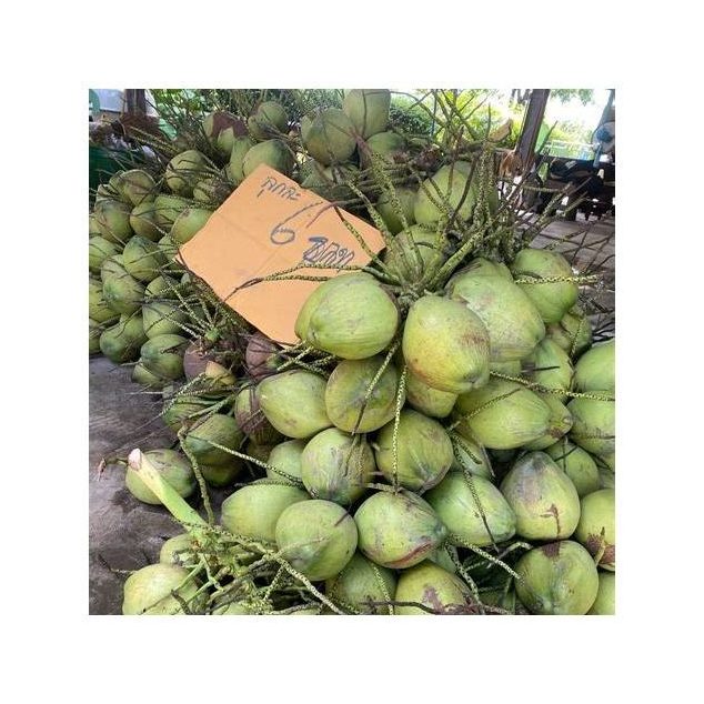 Peeled Aromatic Coconut