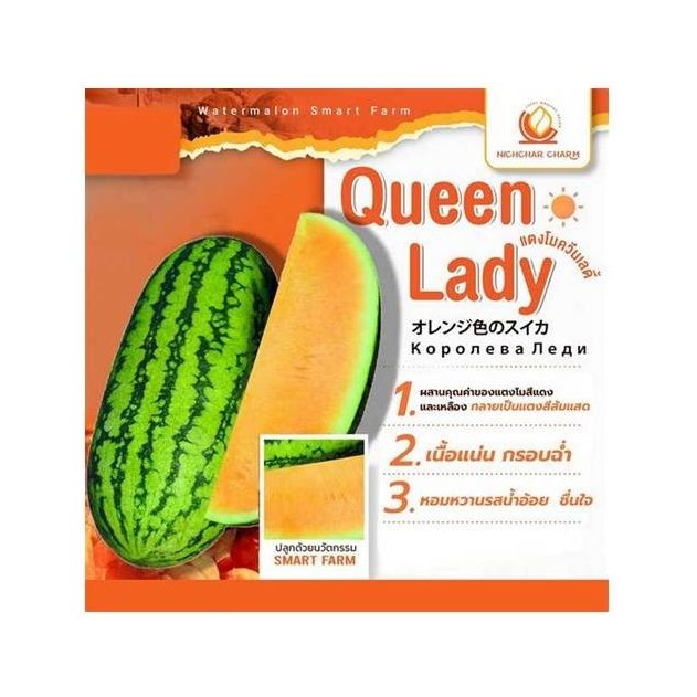 Queen Lady Watermelon