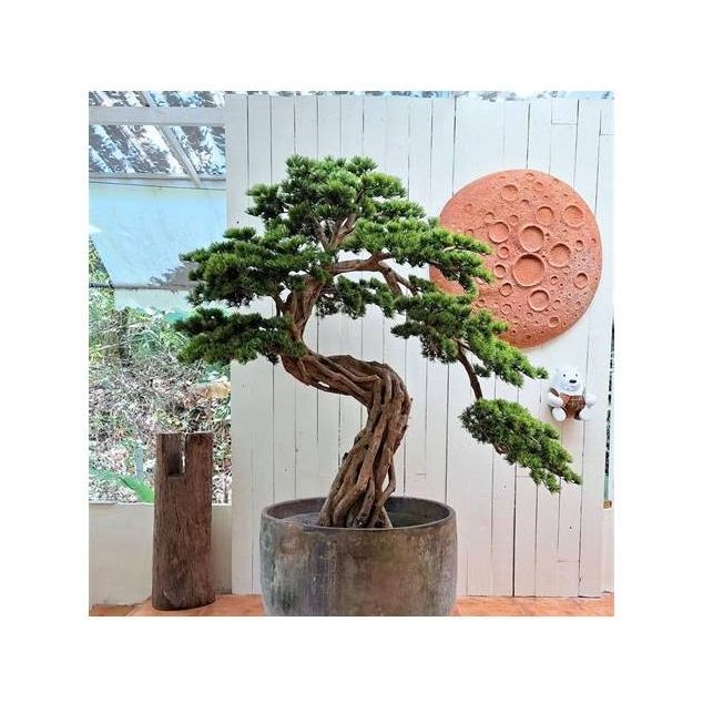 Artificial Bonsai Tree