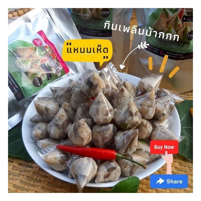 Fermented Mushroom Naem