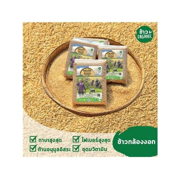 Germinated Hang Rice