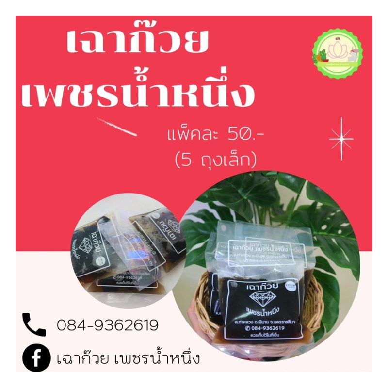 Grass Jelly in Syrup
