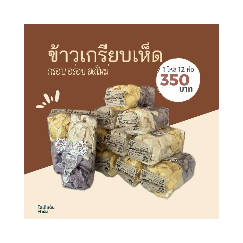 Grey Oyster Mushroom Crackers