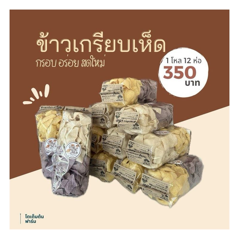 Grey Oyster Mushroom Crackers