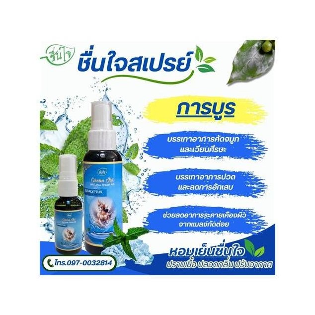 Herbal Liquid Air Freshener Spray