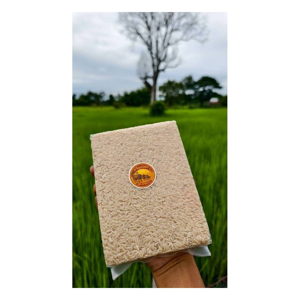 Hom Mali 105 Rice