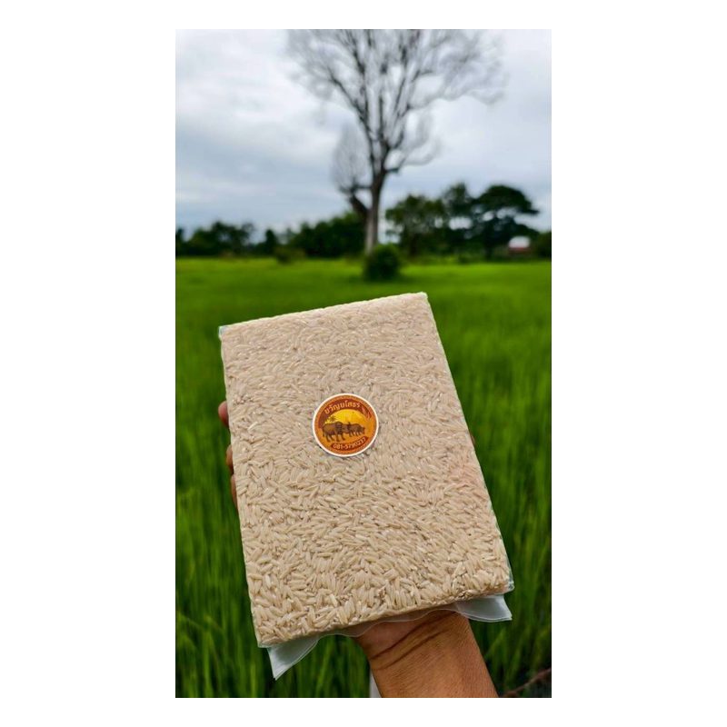 Hom Mali 105 Rice