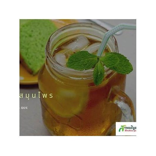 Jerusalem Artichoke and Stevia Tea