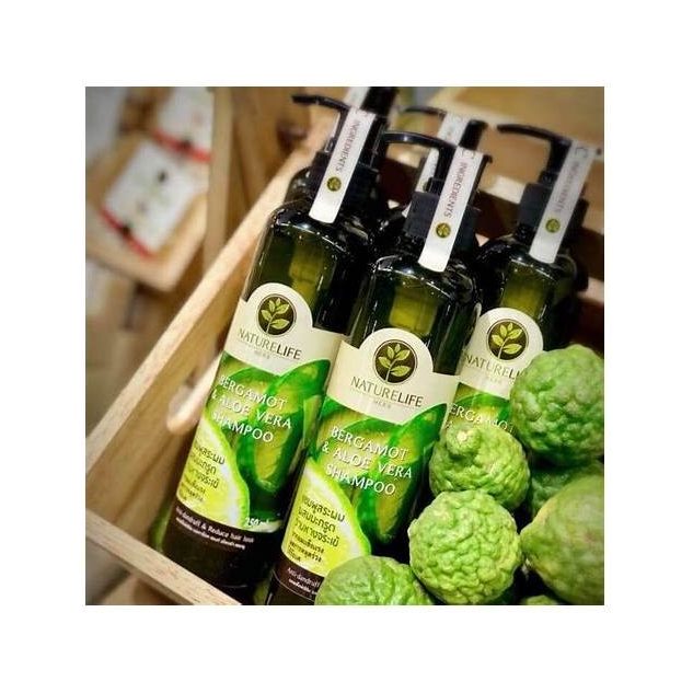 Kaffir Lime and Aloe Vera Shampoo