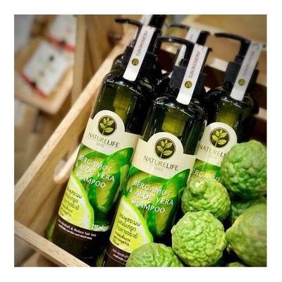 Kaffir Lime and Aloe Vera Shampoo