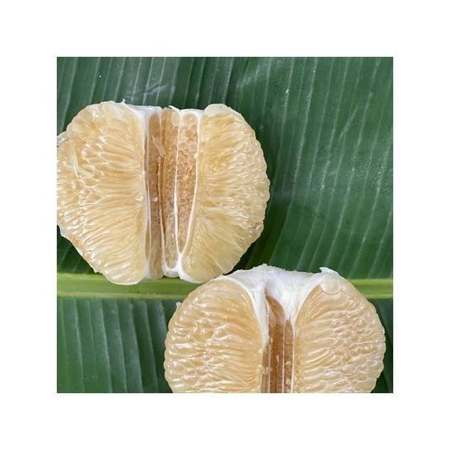 Khao Yai Pomelo