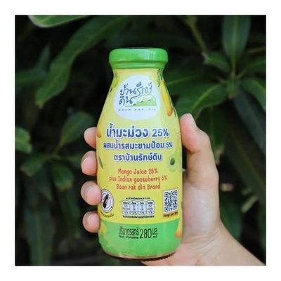 Mango Juice with Indian Gooseberry
