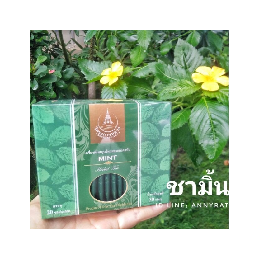 Mint Herbal Tea