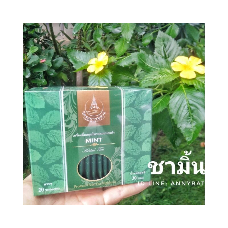 Mint Herbal Tea