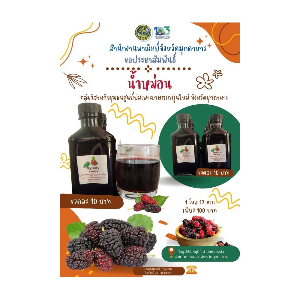 Mulberry Health Juice