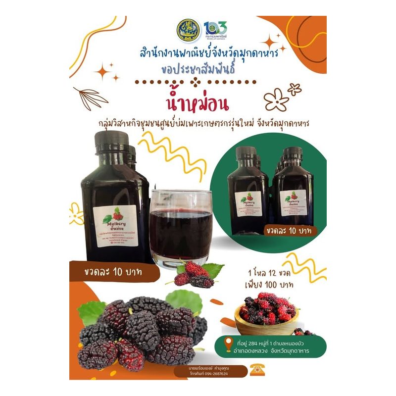 Mulberry Health Juice