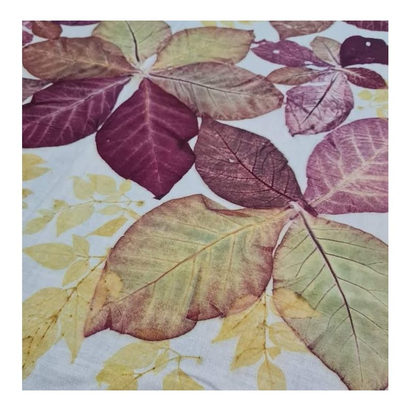 Natural Leaf Eco-Print Fabric