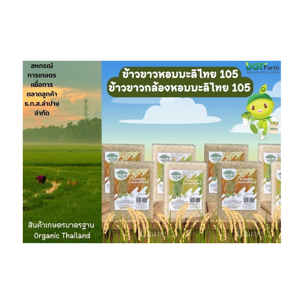 Organic Hom Mali 105 Brown Rice