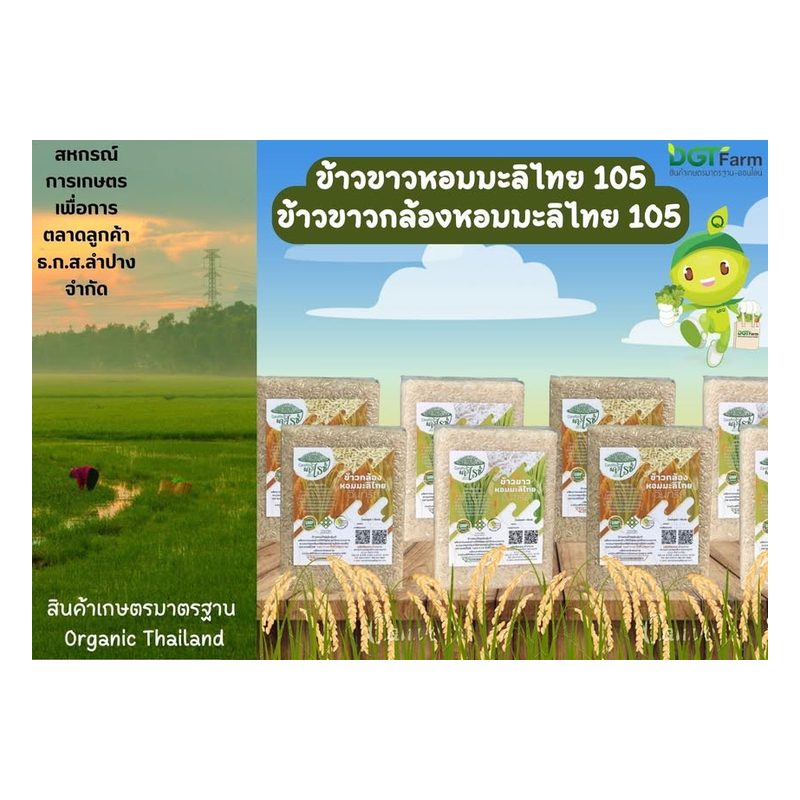 Organic Hom Mali 105 Brown Rice