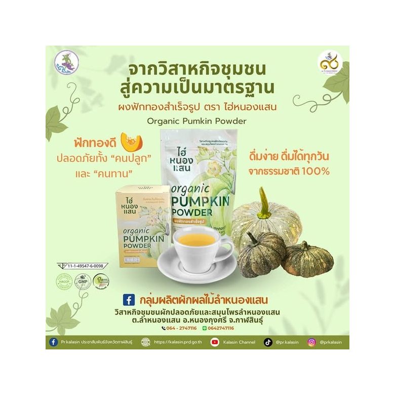 Organic Instant Pumpkin Powder