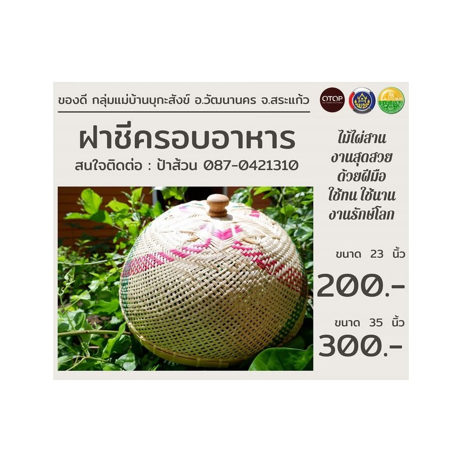 Woven Food Cover