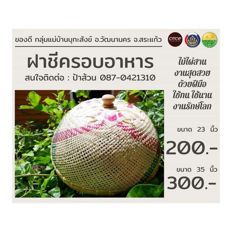 Woven Food Cover