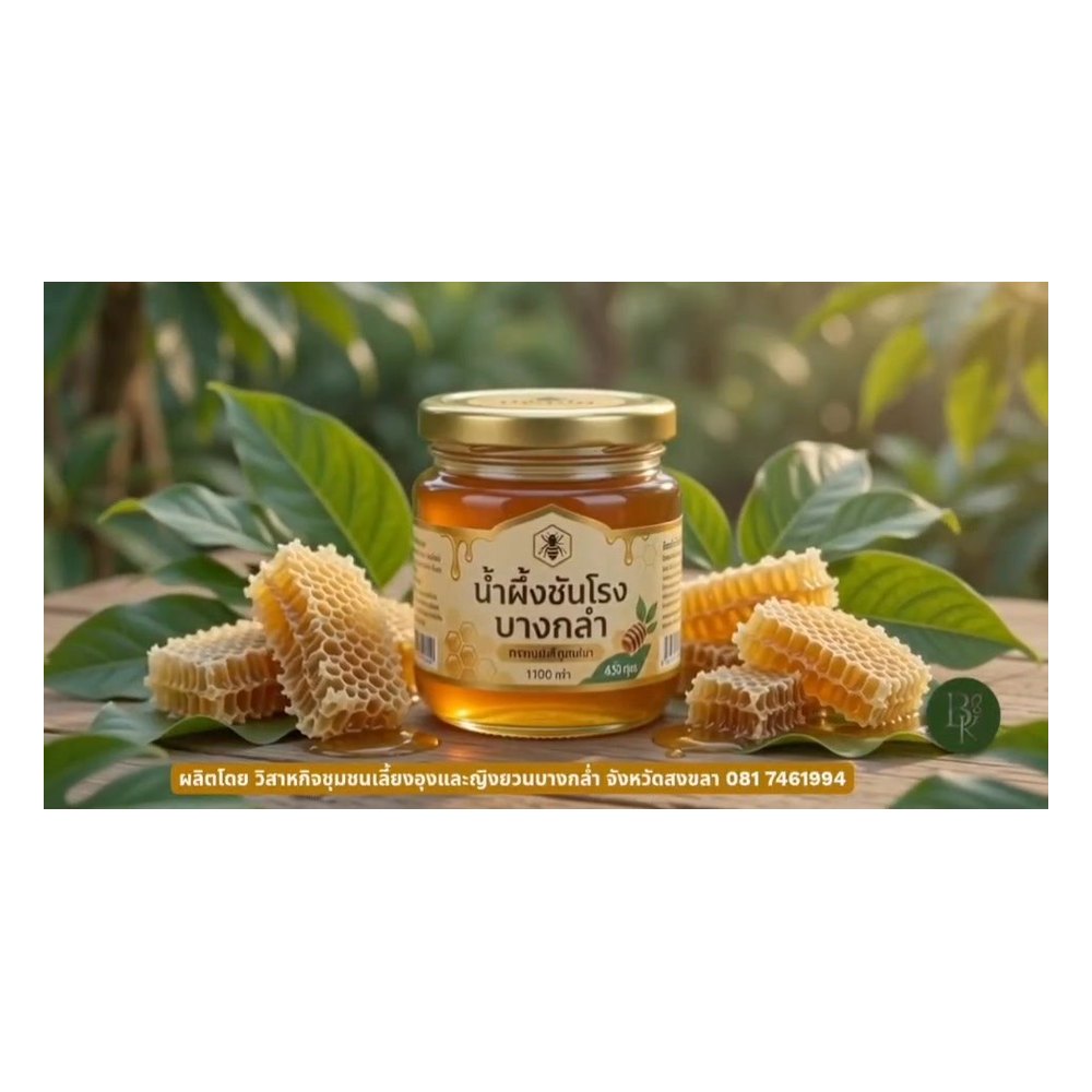 Stingless Bee Honey