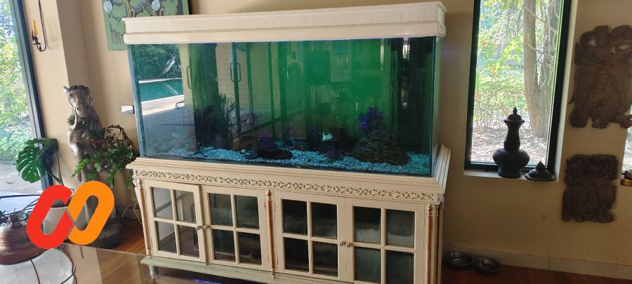 Large Aquarium 1000 liters with Elegant Beige Lacquered Wood Cabinet